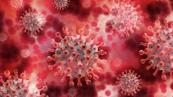 Varian Baru Virus Corona Terdeteksi di Afrika Selatan
