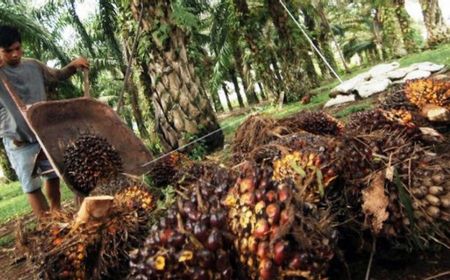 Lindungi Industri Kelapa Sawit, RI Tegaskan agar UE Tak Buat Aturan Bernafas Imperialisme