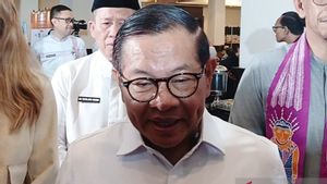 Pramono Perintahkan Jajaran Awasi Perdagangan Anjing untuk Konsumsi