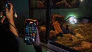 Ragunan Siapkan 100 Titik Lampu Tambahan untuk Operasional Malam Hari