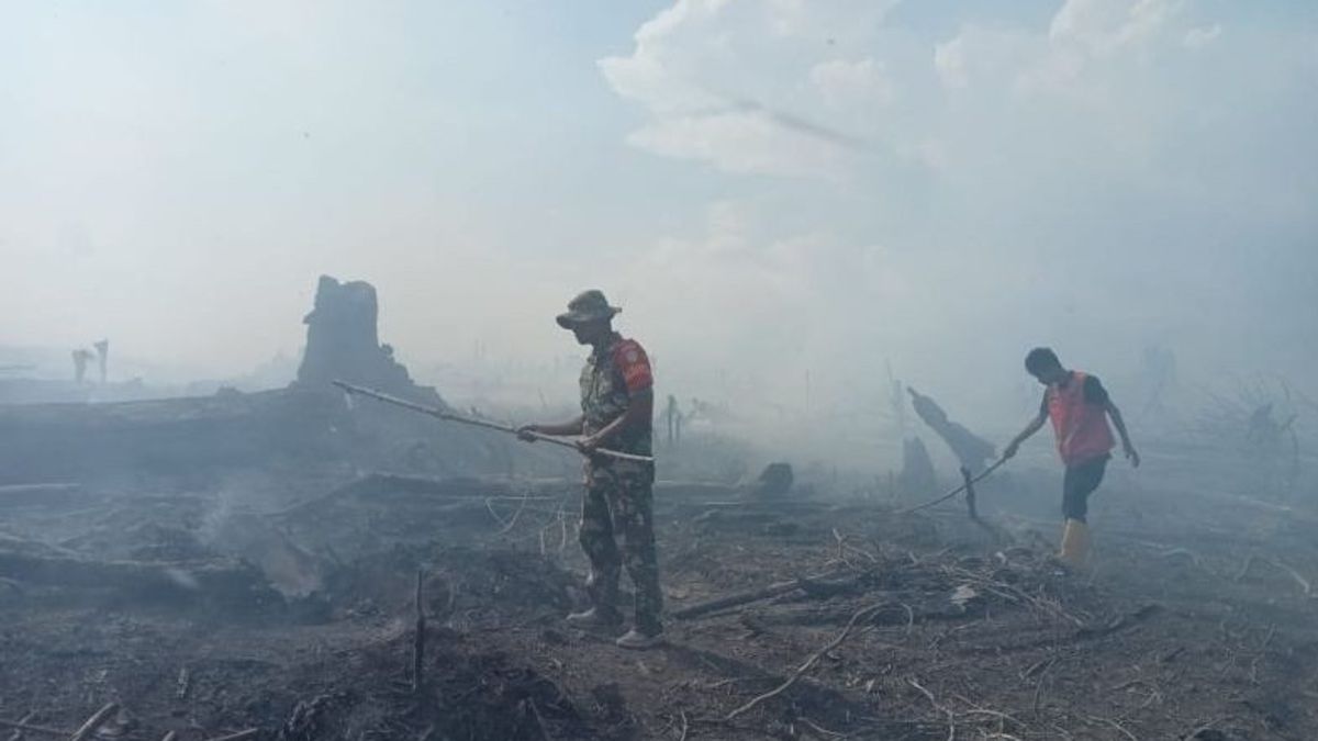 Lahan Seluas 5,5 Hektare di Aceh Terbakar