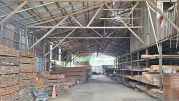 Jejak Kayu Ilegal Terkuak, Gudang Penampungan di Samarinda Digerebek Gakkum LHK
