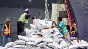 27,000 Tons Of Vietnamese Rice Entered The Republic Of Indonesia, Head Of The Food Agency: The Direction Of The President Of CBP Stock Cannot Be Less Than 1 Million