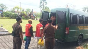 Tiga Tersangka Penyelundupan Penyu Ilegal di Bali Segera Disidang