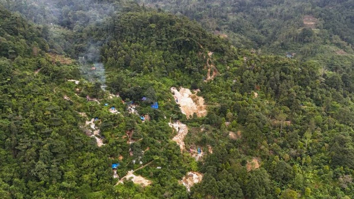 Kemenhut Temukan 88 Lubang Tambang Ilegal di Taman Nasional Gunung Halimun Salak