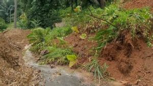 BNPB تسريع استعادة الانهيارات الأرضية في سينجاي جنوب سولاويزي ، بما في ذلك 41 هكتارا من حقول الأرز