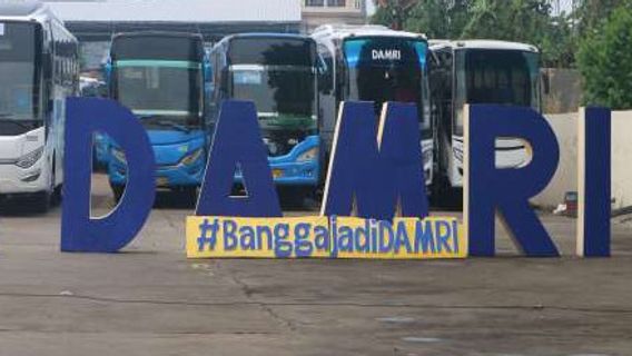 Had Rise 100 Percent, Damri Bus Fares Down Again