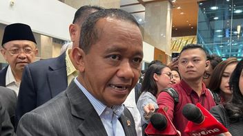 巴赫利尔部长、巴图巴拉出口总部开设机会:可能超过25%