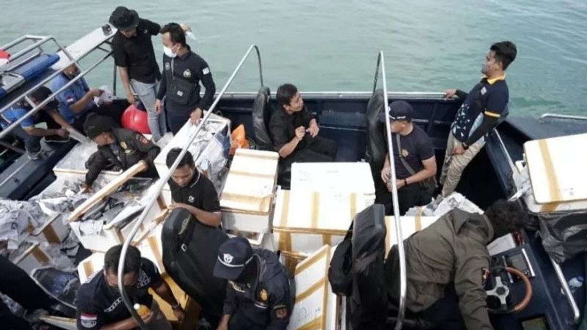 جمارك جزر رياو تمنع التهريب غير القانوني لبذور جراد البحر إلى سنغافورة