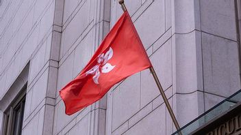 Regulator Hong Kong Peringatkan Investor Terkait Risiko NFT