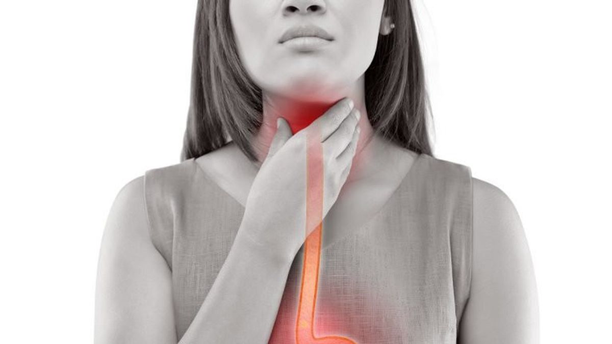 Sangat Manjur! Begini Cara Menghilangkan Rasa Mengganjal di Tenggorokan Akibat Asam Lambung