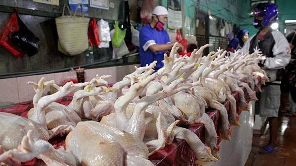 ليس زيت الطهي، تضخم يناير بنسبة 0.56 في المئة الناجم عن أسعار الدجاج