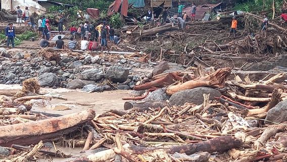 Dihadang Cuaca dan Gelombang Laut, Kepala BNPB Berangkat ke Adonara, Flores Timur Besok Pagi