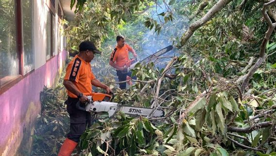 大雨和强风，SDN 53 Damar Sikucing Agam的屋顶被树木损坏