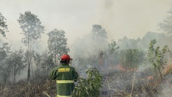    Atasi Karhutla, Kalsel Siapkan Modifikasi Cuaca