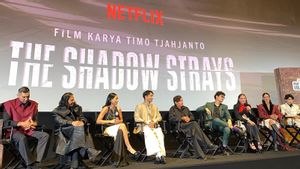 The Shadow Strays devient le nouveau sujet pour TIM Tjahjanto