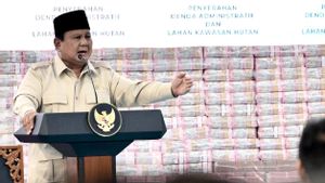 Prabowo alludes to 