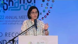 Sri Mulyani Miliki 30 Jabatan Selain Jadi Menkeu, Stafsus Buka Suara