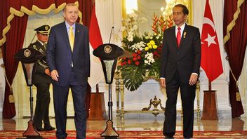 Jokowi Ucapkan Selamat Erdogan Terpilih Lagi Jadi Presiden Turki