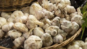 Acceleration Of The Import Process Of Garlic And Bombai That Is Constrained By RIPH