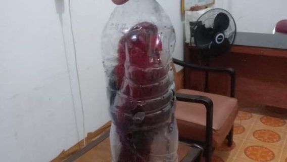 Burung Nuri Ini Dimasukkan ke Botol Air Mineral untuk Diselundupkan