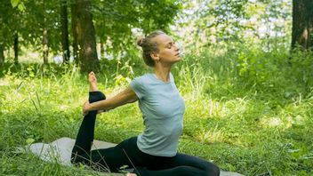 rénal : 5 habitudes quotidiennes pour stimuler la vitalité et la longévité