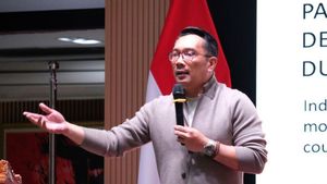 Gerindra sur Ridwan Kamil veut conduire la rivière : le nom d’une idée, amour de l’esprit avant