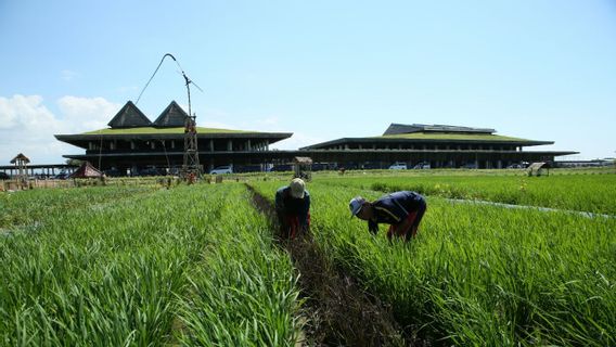 班育万宜机场跻身世界20大最佳建筑之列