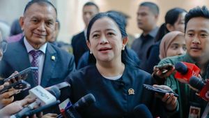Puan Sebut PDIP, PKB, dan Gerindra Saudara: Sinyal PDIP Merapat ke Pemerintahan?