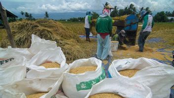 Surakarta Bulog Prepares Grain Absorption From The March-April Grand Panen