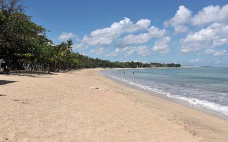 Wagub Bali Sambut Baik Kebijakan Work From Bali Gagasan Kemenko Marves