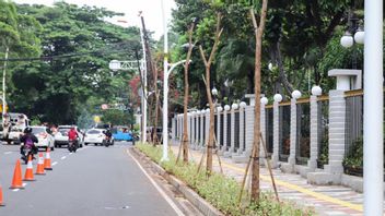 Sebanyak 27 Pohon Tabebuya Ditanam di Jalan Senen Raya untuk Mempercantik Pedestrian