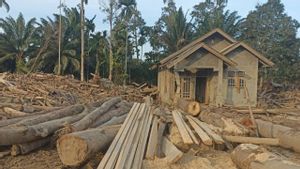 Kemenhut: 1.260 Meter Kubik Kayu Didata Bagi Pemanfaatan di Aceh Utara
