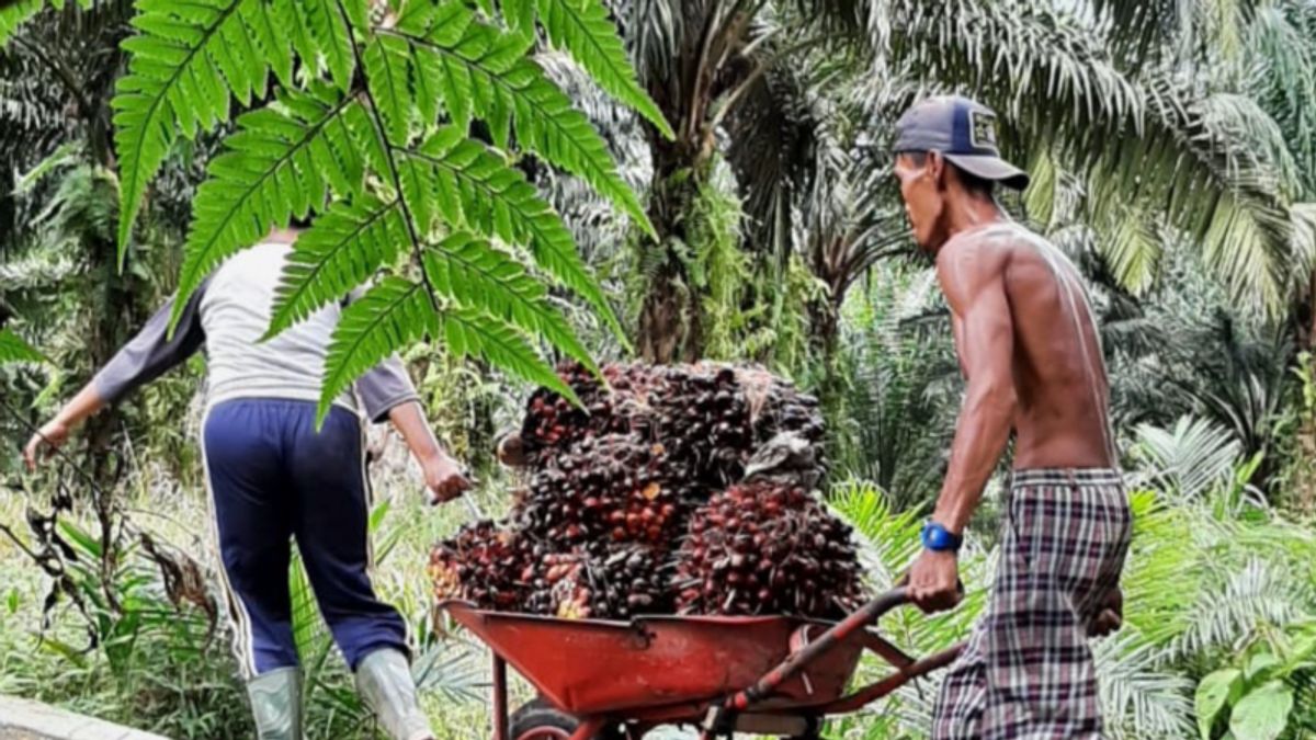 Hilirisasi Pangan Diharapkan Lebih Menunjang Pertumbuhan dan Pendapatan Negara