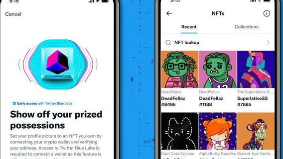 Twitter Uji Coba Avatar NFT, Langkah Baru Gaet Pengguna ke Layanan Blue