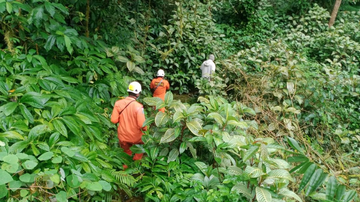 4 Orang yang Tersesat di Gunung Sanghyang Bali Ditemukan Selamat