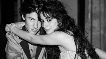 Le Voyage Amoureux De Shawn Mendes - Camila Cabello: Tourner Ensemble Jusqu’à La Rupture