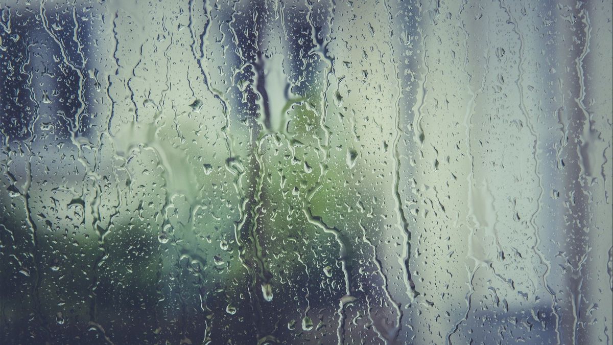   Prakiraan Cuaca BMKG: Sejumlah Daerah Mengalami Hujan Lebat Kamis 14 Oktober