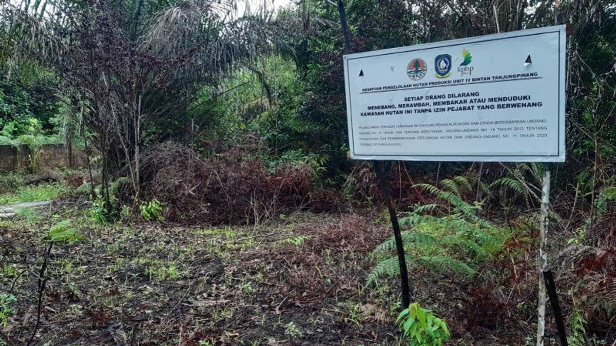 Bags Of Company Names In Indigenous Riau Islands Forests, DLHK Wanti-wanti Will Sanctions