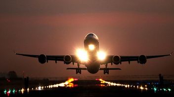 Nekat, Sejoli Bawa 51 Kg Ganja Masuk Bandara Inggris usai Liburan dari Thailand