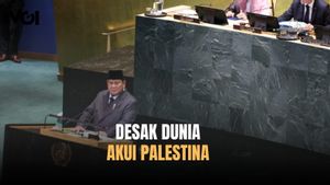 Presiden Prabowo Desak Dunia Akui Palestina: Langkah yang Benar di Sisi Sejarah yang Benar