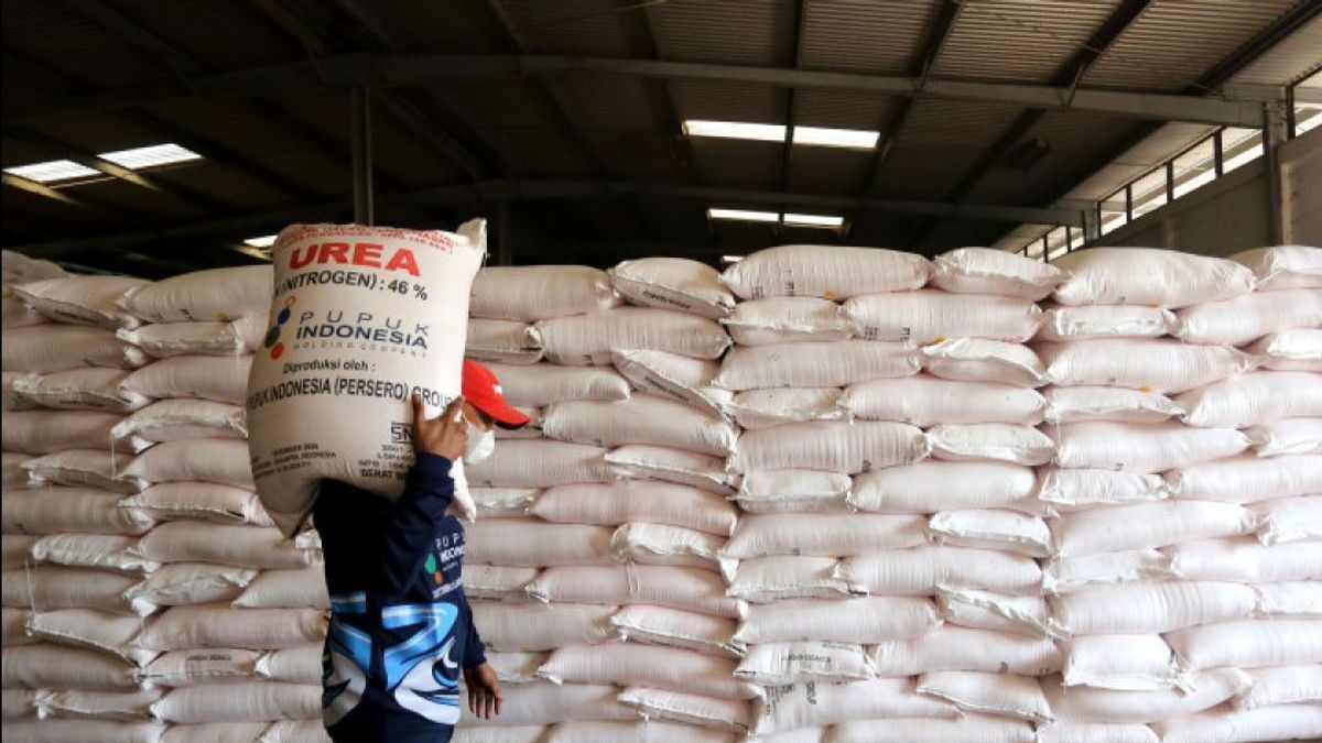 Harga Pupuk Urea Dunia Tembus US$700, Melonjak 50 Persen sejak Perang Iran