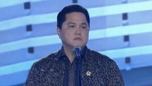 Erick Thohir Pastikan Kementerian BUMN Dukung Program Listrik Desa dan Koperasi Merah Putih