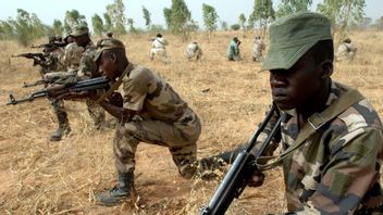29 Tentara Niger Tewas dalam Serangan di Dekat Perbatasan saat Menggelar Operasi Militer
