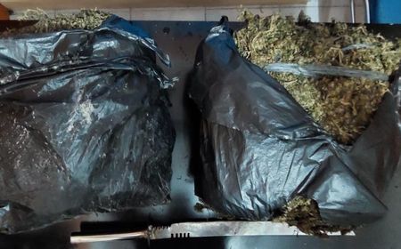 2 Penjual Ganja 10 Kg di Madina Sumut Ditembak Polisi karena Coba Rebut Senpi dan Keluarkan Samurai