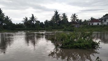 川のオーバーフロー、ロンボク中部の何百もの家が洪水