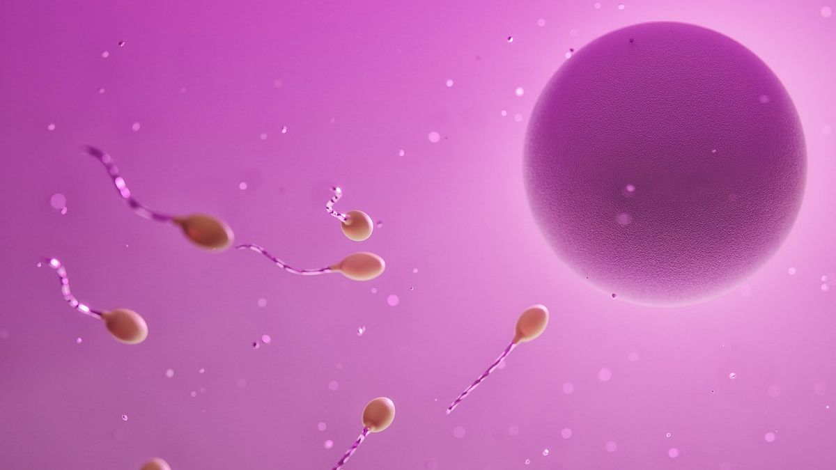 savoir ce qu’est un liquide pré-éjaculation, cela peut causer une grossesse?
