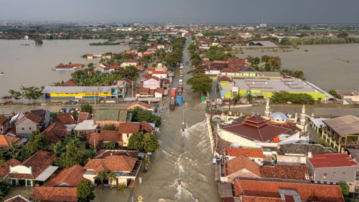 5 Days Of Demak Floods Have Not Receded, Pantura Is Still Completely Paralyzed