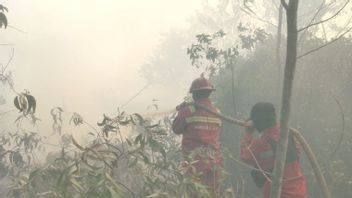 라우이 카후트라 면적은 1월 이후 1,041헥타르에 달했다.