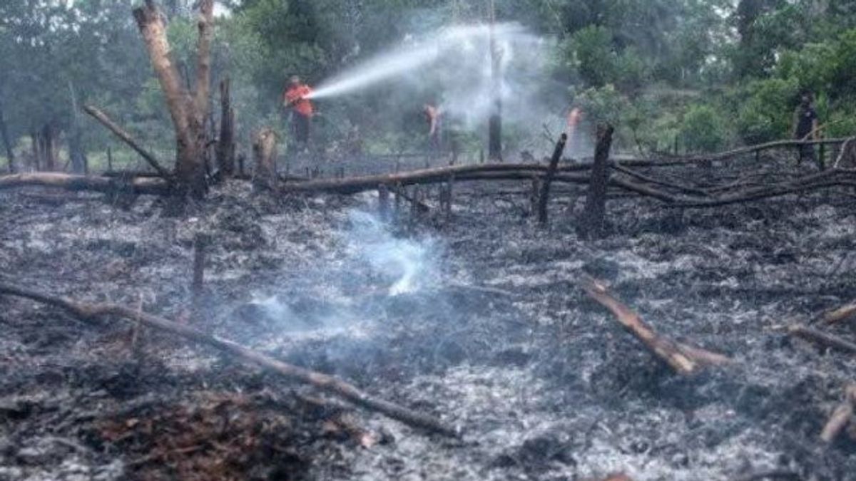 Januari-April, Karhutla di Bengkalis Capai 200 Hektare Tersebar di 24 Titik